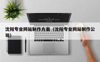 响水沈阳专业网站制作方案（沈阳专业网站制作公司）